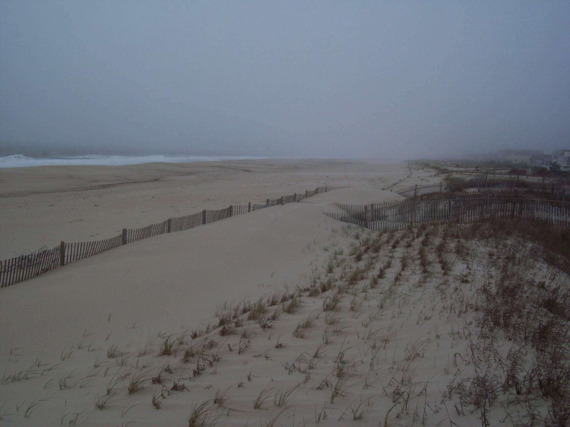 Bethany Village sand accumulation 1 year after installing dune fence