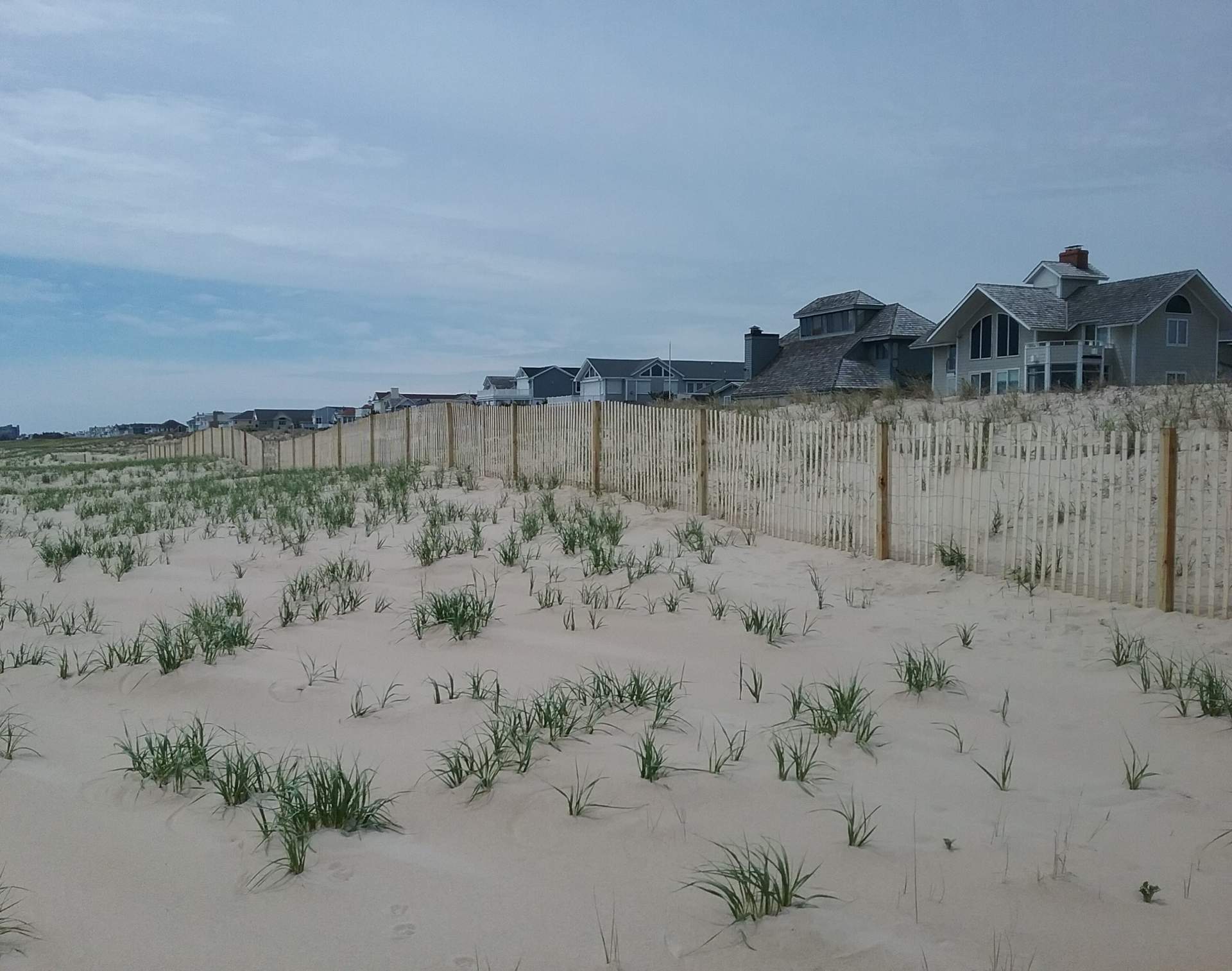 Bethany Village dune fence