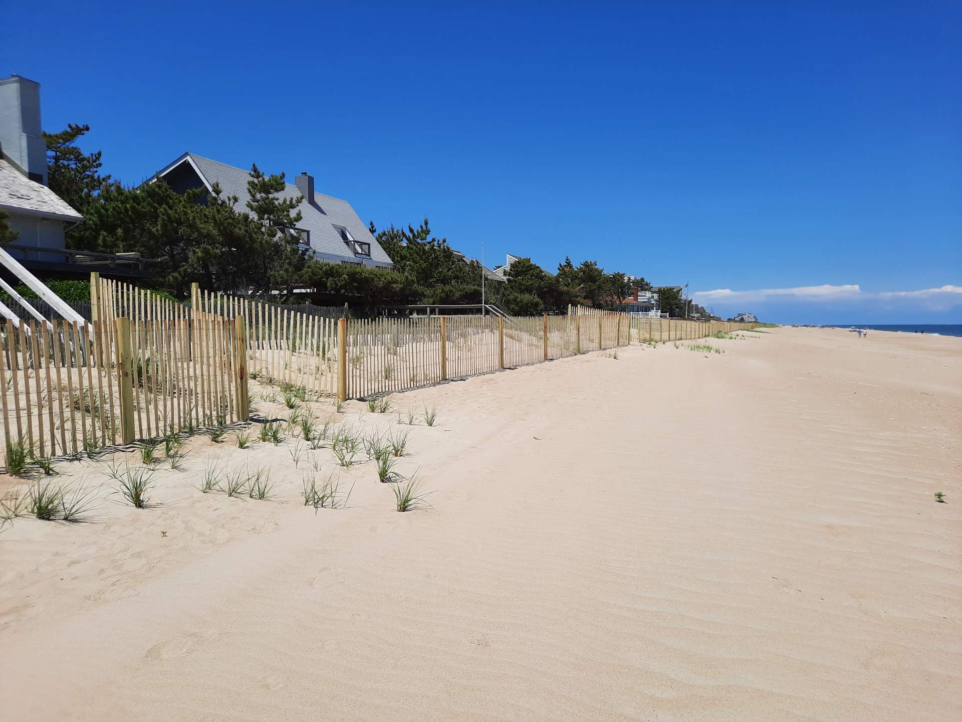 Cotton Patch Hills dune fence